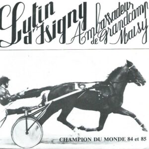 Jean-Marie COISPEL 45SP Archipels 1892 LUTIN D'ISIGNY Ambassadeur de Grandcamp-Maisy / Un petit Grancamp dans la tête