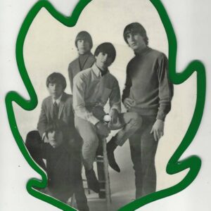 THE LEAVES Etched picture disc 33 RPM Panda PAPD 1003 Hey Joe