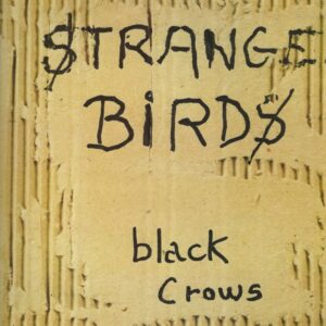 STRANGE BIRDS MAXI 45T Alkin Records Special Product 1598556 Black Crows